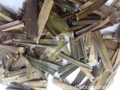 H&igrave;nh ảnh vị thuốc huyết dụ